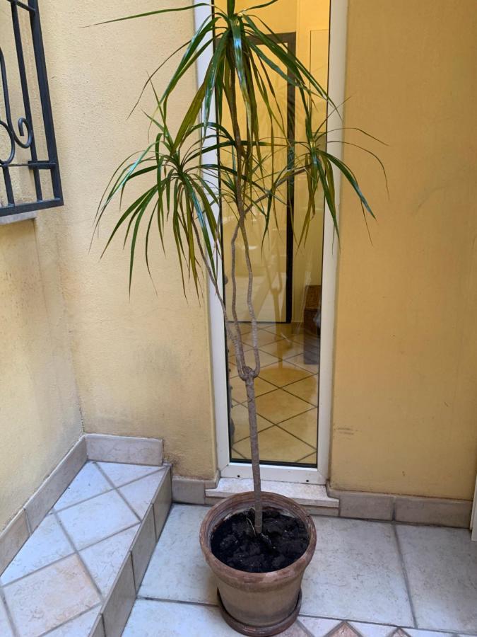 קליארי Biora Apartments מראה חיצוני תמונה